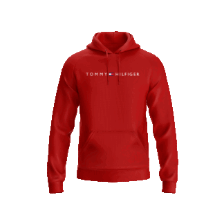Hoodie TH